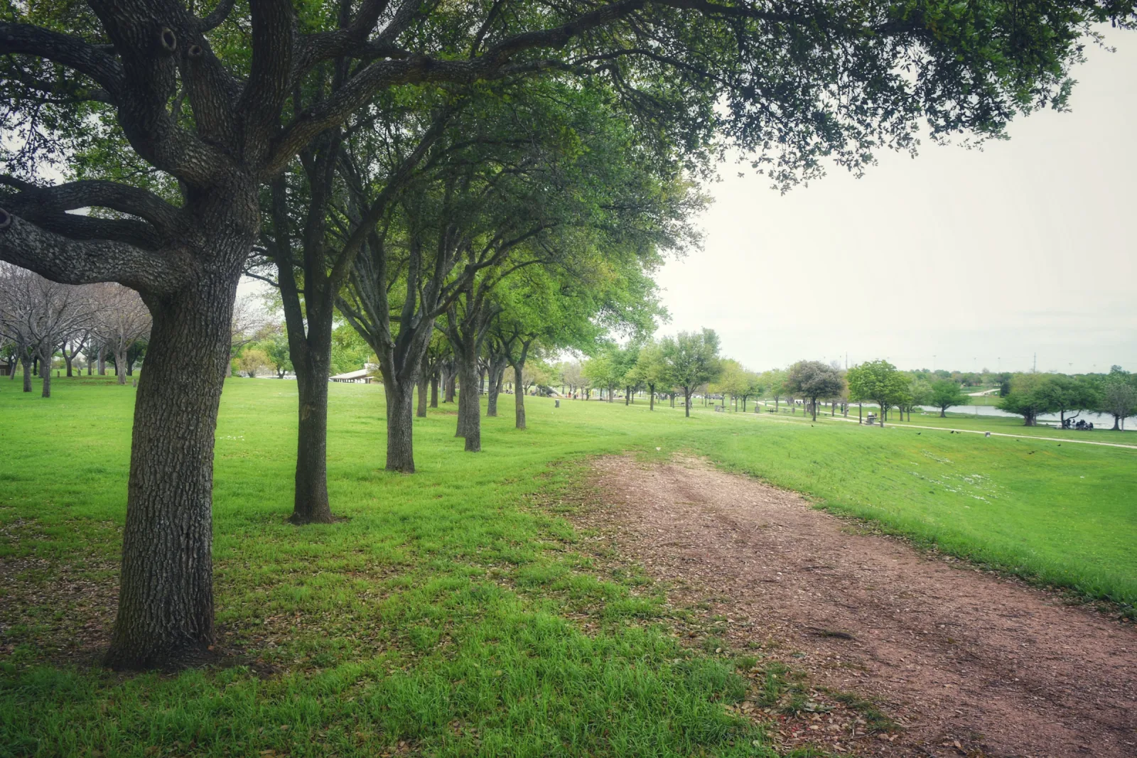 Round Rock, TX skyline